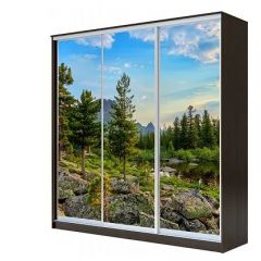 Шкаф-купе ХИТ 23-4-18-777 (420) в Шадринске - shadrinsk.mebel24.online | фото 1