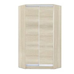 Шкаф-купе ХИТ-У-22-4-11 в Шадринске - shadrinsk.mebel24.online | фото 6