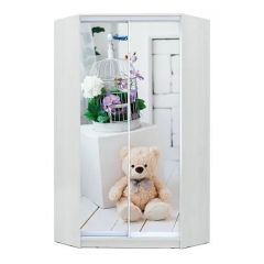 Шкаф-купе ХИТ-У-22-4-77 в Шадринске - shadrinsk.mebel24.online | фото