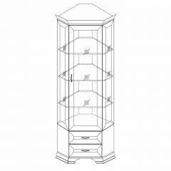 Шкаф-витрина угловой Сиена в Шадринске - shadrinsk.mebel24.online | фото 2