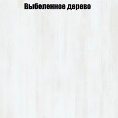 Вешалка V3 в Шадринске - shadrinsk.mebel24.online | фото 4