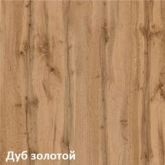 Вуди Шкаф для одежды 13.138 в Шадринске - shadrinsk.mebel24.online | фото 4