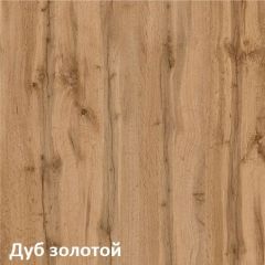 Вуди Стол письменный 12.42 в Шадринске - shadrinsk.mebel24.online | фото 3