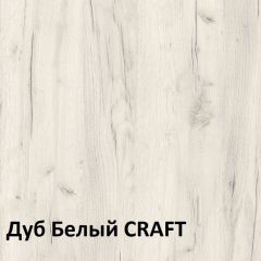 Юнона Шкаф торцевой 13.221 в Шадринске - shadrinsk.mebel24.online | фото 3