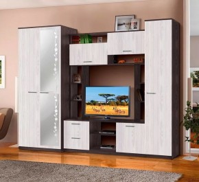 АЛЕКСАНДРА 10 Стенка в Шадринске - shadrinsk.mebel24.online | фото 1