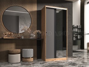 АЛЬЯНС Шкаф-купе (сандал светлый, графит) в Шадринске - shadrinsk.mebel24.online | фото