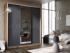 АЛЬЯНС Шкаф-купе (сандал светлый, графит) в Шадринске - shadrinsk.mebel24.online | фото 3
