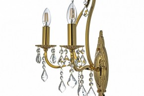 Бра Arti Lampadari Ercolano Ercolano E 2.1.2.602 G в Шадринске - shadrinsk.mebel24.online | фото 6