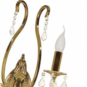 Бра Arti Lampadari Ercolano Ercolano E 2.1.2.602 G в Шадринске - shadrinsk.mebel24.online | фото 8