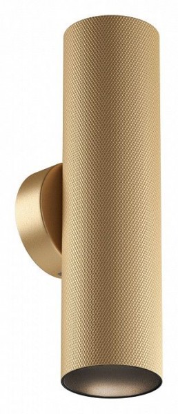 Бра Maytoni Artisan C080WL-02-GU10-MG в Шадринске - shadrinsk.mebel24.online | фото