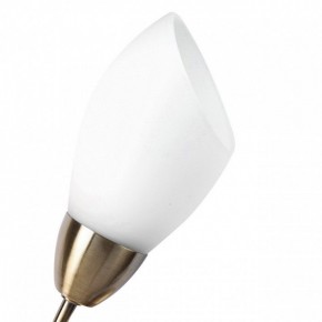 Бра MW-Light Нежность 7 356023001 в Шадринске - shadrinsk.mebel24.online | фото 2