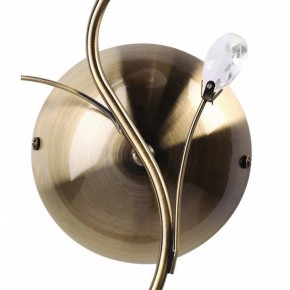 Бра MW-Light Нежность 7 356023001 в Шадринске - shadrinsk.mebel24.online | фото 3