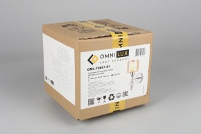 Бра Omnilux Aprica OML-70801-01 в Шадринске - shadrinsk.mebel24.online | фото 6