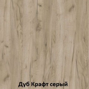 ДАРЬЯ Гостиная (Крафт серый/Крафт белый) в Шадринске - shadrinsk.mebel24.online | фото 2