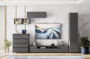 ДЕНВЕР Пенал (Графит серый) в Шадринске - shadrinsk.mebel24.online | фото 4