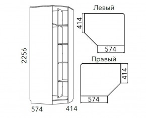 Детская Фанк Шкаф угловой Левый/Правый НМ 013.04-02 М в Шадринске - shadrinsk.mebel24.online | фото 3