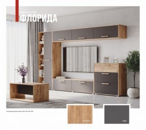 ФЛОРИДА Гостиная (модульная) дуб золотой/графит в Шадринске - shadrinsk.mebel24.online | фото