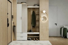 Гарнитур для прихожей Торонто в Шадринске - shadrinsk.mebel24.online | фото 5
