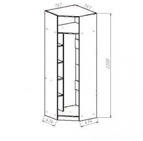 ГЕОМЕТРИЯ ГМТ.05 шкаф угловой в Шадринске - shadrinsk.mebel24.online | фото 2