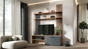 КАРОЛИНА Гостиная в Шадринске - shadrinsk.mebel24.online | фото