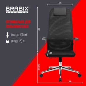 Кресло BRABIX PREMIUM "Ultimate EX-801" хром, плотная двойная сетка Х2, черное, 532917 в Шадринске - shadrinsk.mebel24.online | фото 7