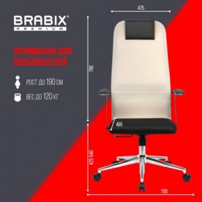 Кресло офисное BRABIX PREMIUM "Ultimate EX-801" хром, плотная двойная сетка Х2, черное/бежевое, 532919 в Шадринске - shadrinsk.mebel24.online | фото 6