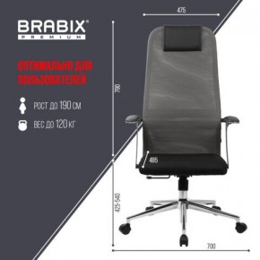 Кресло офисное BRABIX PREMIUM "Ultimate EX-801" хром, плотная двойная сетка Х2, черное/серое, 532918 в Шадринске - shadrinsk.mebel24.online | фото 5