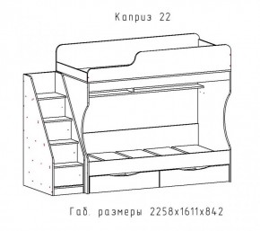 КАПРИЗ-22 Кровать двухъярусная 800 настил ЛДСП в Шадринске - shadrinsk.mebel24.online | фото 2