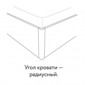 Кровать "Сандра" БЕЗ основания 1200х2000 в Шадринске - shadrinsk.mebel24.online | фото 3