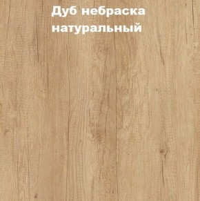 Кровать с основанием с ПМ и местом для хранения (1600) в Шадринске - shadrinsk.mebel24.online | фото 4