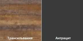 Кухонный гарнитур угловой Трансильвания 2600х1600 мм (Стол. 26 мм) в Шадринске - shadrinsk.mebel24.online | фото 3