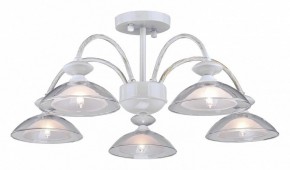Люстра на штанге Arti Lampadari Noventa Noventa E 1.1.5 W в Шадринске - shadrinsk.mebel24.online | фото