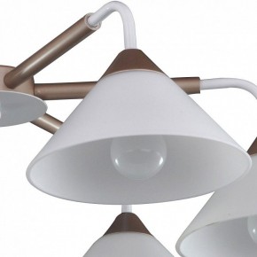 Люстра на штанге Arti Lampadari Ribera Ribera E 1.1.6 CW в Шадринске - shadrinsk.mebel24.online | фото 3