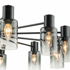 Люстра на штанге Escada Diversity 2120/12P Black в Шадринске - shadrinsk.mebel24.online | фото 6