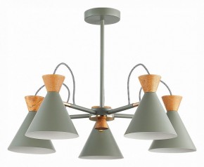 Люстра на штанге EVOLUCE Modica SLE125112-05 в Шадринске - shadrinsk.mebel24.online | фото 1