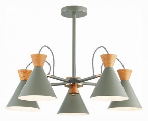 Люстра на штанге EVOLUCE Modica SLE125112-05 в Шадринске - shadrinsk.mebel24.online | фото 2