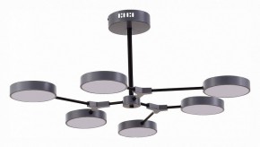 Люстра на штанге EVOLUCE Monta SLE6003-702-06 в Шадринске - shadrinsk.mebel24.online | фото 1