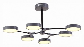 Люстра на штанге EVOLUCE Monta SLE6003-702-06 в Шадринске - shadrinsk.mebel24.online | фото 2