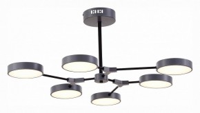 Люстра на штанге EVOLUCE Monta SLE6003-702-06 в Шадринске - shadrinsk.mebel24.online | фото 4