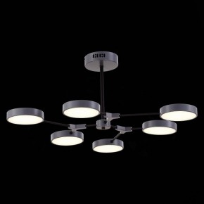 Люстра на штанге EVOLUCE Monta SLE6003-702-06 в Шадринске - shadrinsk.mebel24.online | фото 5