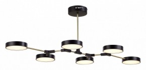Люстра на штанге EVOLUCE Monta SLE6004-402-06 в Шадринске - shadrinsk.mebel24.online | фото 4