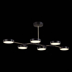 Люстра на штанге EVOLUCE Monta SLE6004-402-06 в Шадринске - shadrinsk.mebel24.online | фото 5