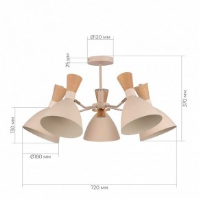 Люстра на штанге EVOLUCE VISTA SLE1256-502-05 в Шадринске - shadrinsk.mebel24.online | фото 8