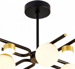 Люстра на штанге Favourite Soffiato 3048-8P в Шадринске - shadrinsk.mebel24.online | фото 4