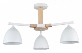 Люстра на штанге Lumion Colange 8095/3C в Шадринске - shadrinsk.mebel24.online | фото