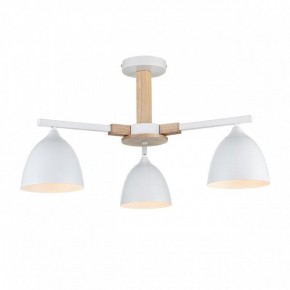 Люстра на штанге Lumion Colange 8095/3C в Шадринске - shadrinsk.mebel24.online | фото 2