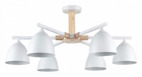 Люстра на штанге Lumion Colange 8095/6C в Шадринске - shadrinsk.mebel24.online | фото