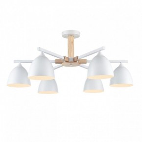 Люстра на штанге Lumion Colange 8095/6C в Шадринске - shadrinsk.mebel24.online | фото 2
