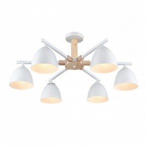 Люстра на штанге Lumion Colange 8095/6C в Шадринске - shadrinsk.mebel24.online | фото 3