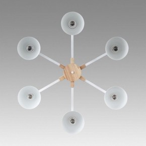 Люстра на штанге Lumion Colange 8095/6C в Шадринске - shadrinsk.mebel24.online | фото 4